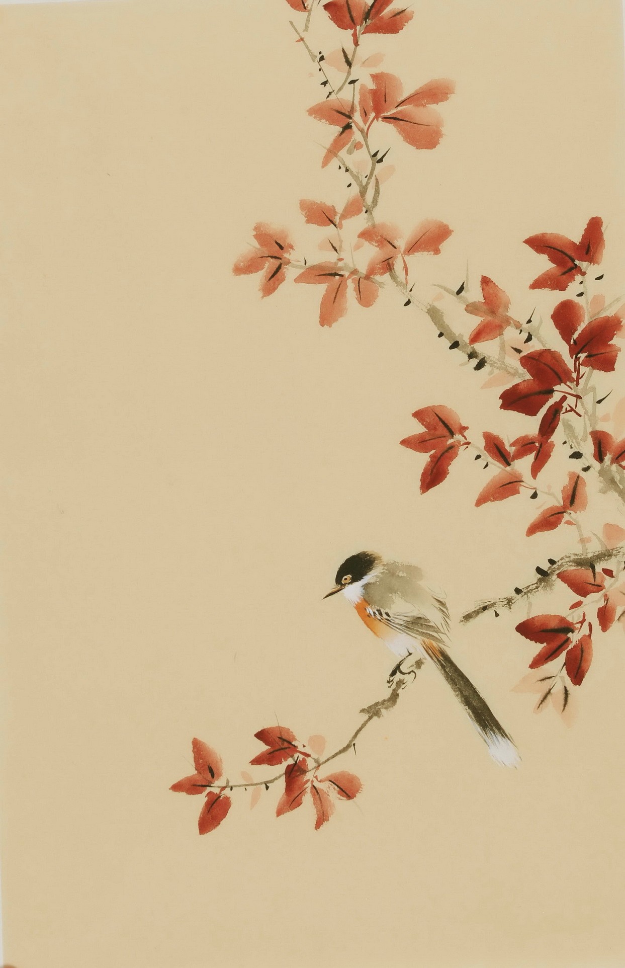 Other Birds - CNAG000957
