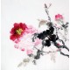 Chinese Peony Painting - CNAG009667