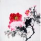 Chinese Peony Painting - CNAG009676