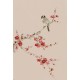 Plum - CNAG000959