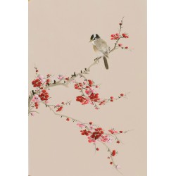 Plum - CNAG000959