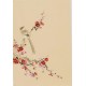 Plum - CNAG000960
