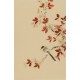 Other Birds - CNAG000962