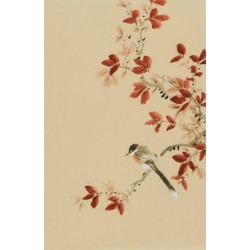 Other Birds - CNAG000962