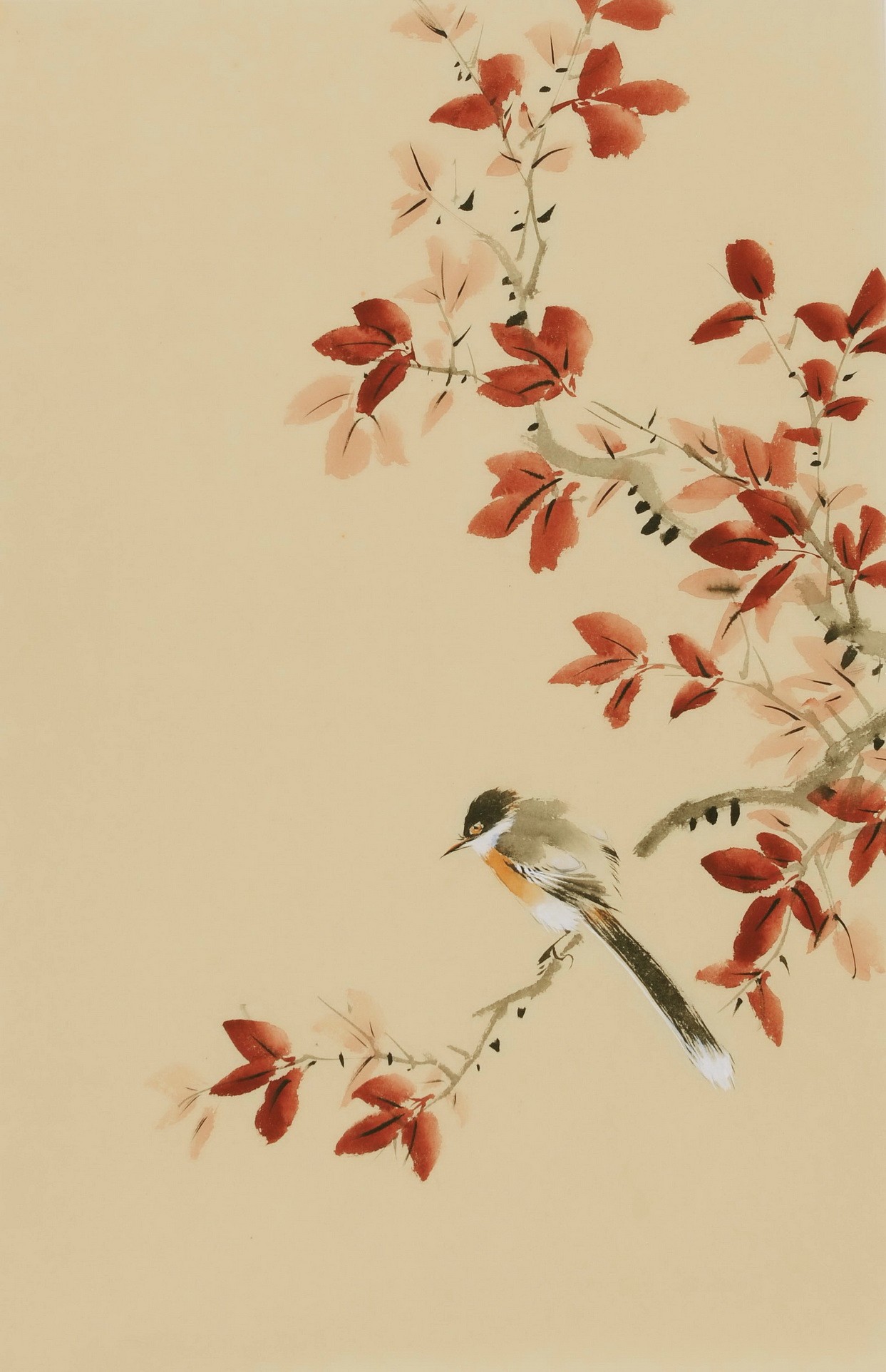 Other Birds - CNAG000962