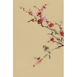 Plum - CNAG000963