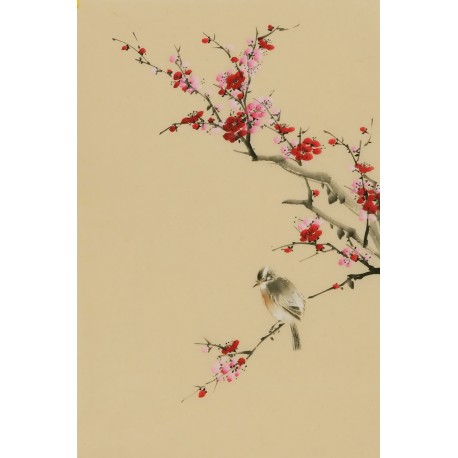 Plum - CNAG000963