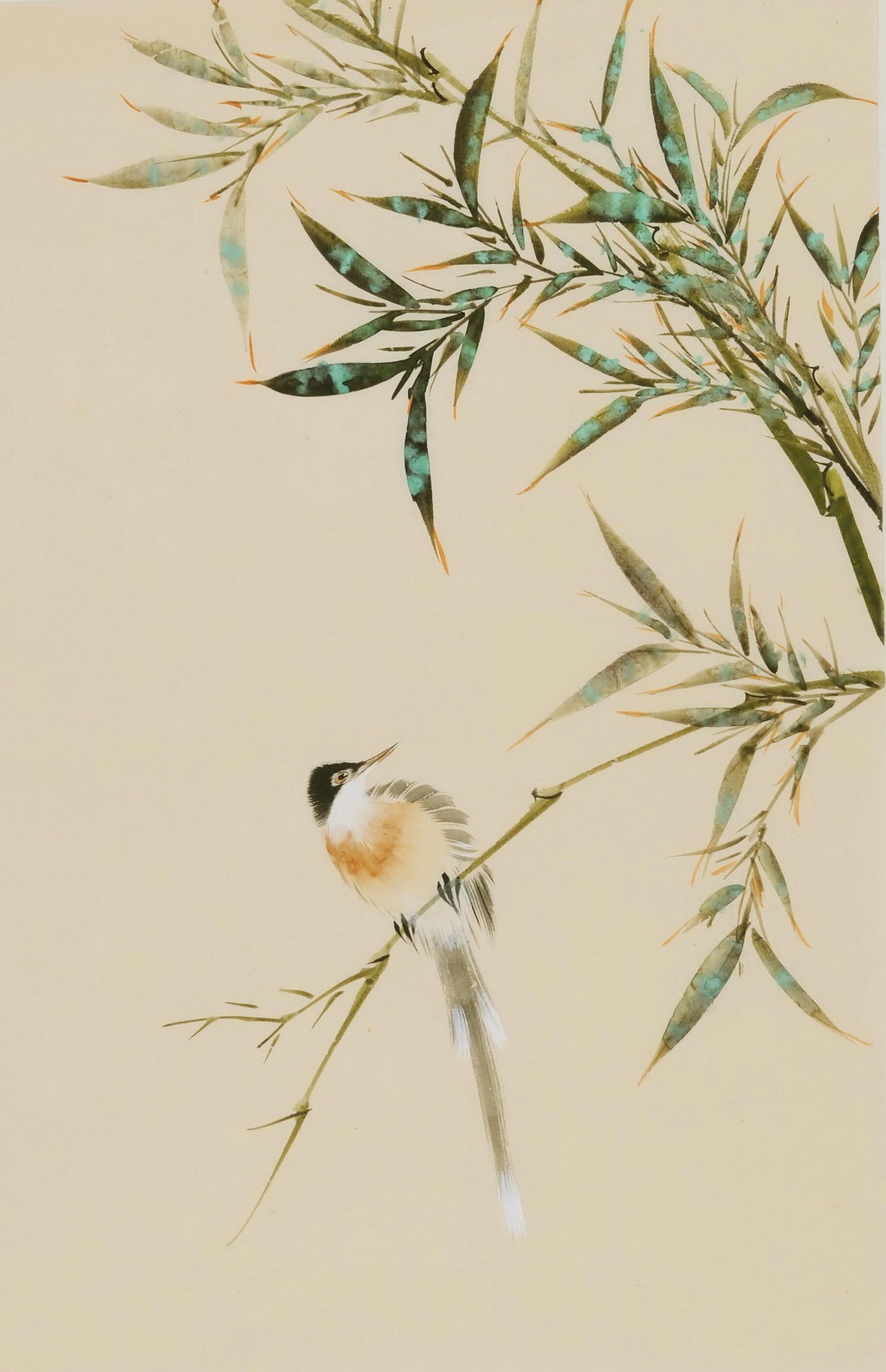 Green Bamboo - CNAG000964