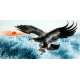 Chinese Eagle Painting - CNAG009732