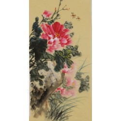 Peony - CNAG000968