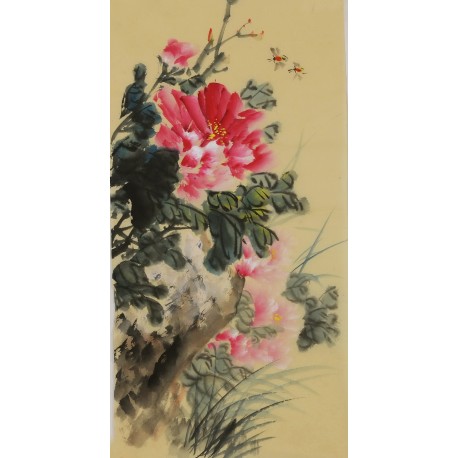 Peony - CNAG000968