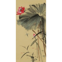 Lotus - CNAG000972