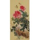 Peony - CNAG000974
