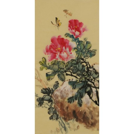 Peony - CNAG000974
