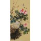 Peony - CNAG000981