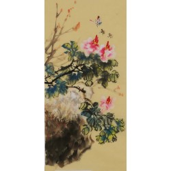 Peony - CNAG000981