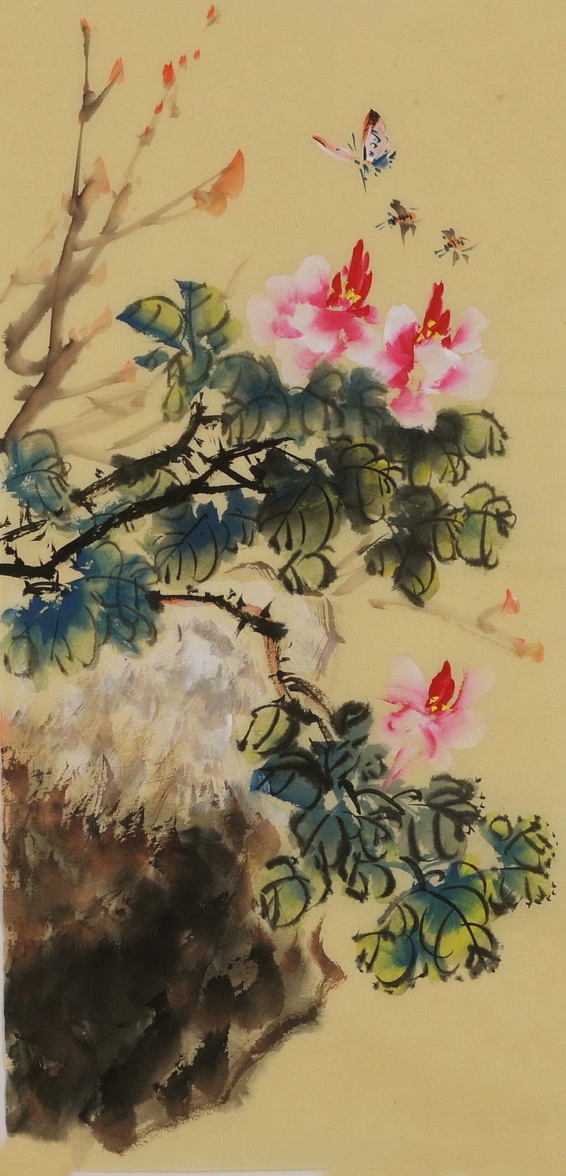 Peony - CNAG000981