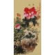 Peony - CNAG000982