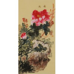 Peony - CNAG000982