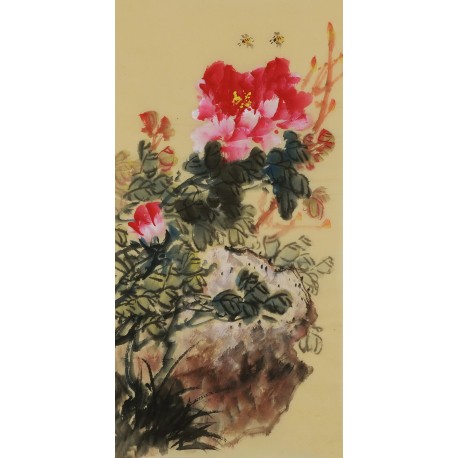 Peony - CNAG000982