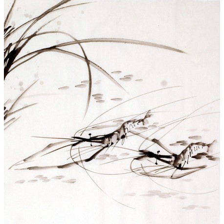 Chinese Shrimp Painting - CNAG009914
