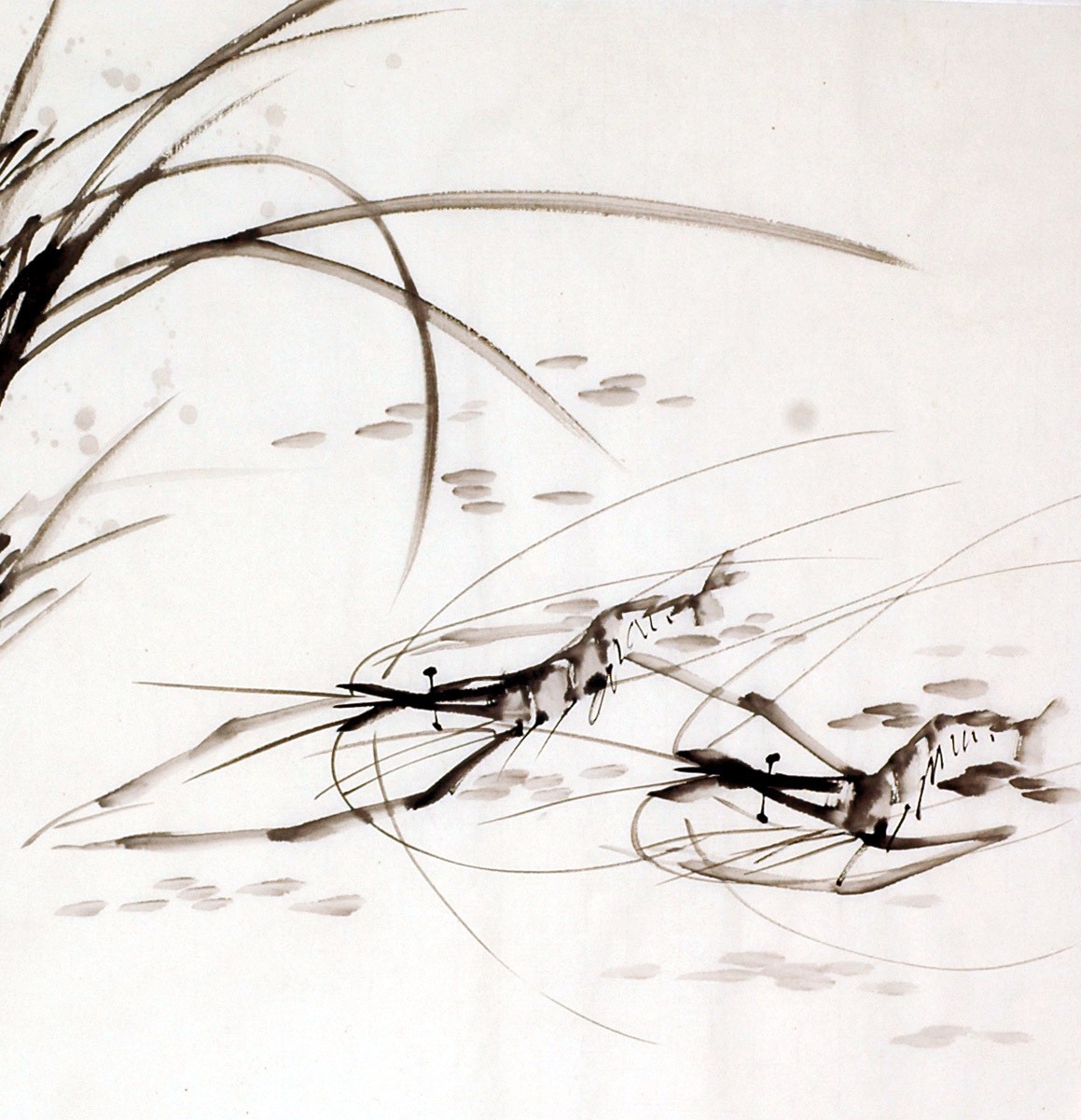 Chinese Shrimp Painting - CNAG009914