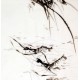 Chinese Shrimp Painting - CNAG009918