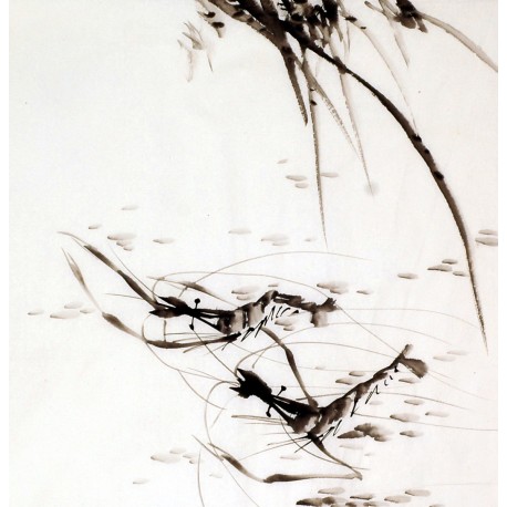 Chinese Shrimp Painting - CNAG009918