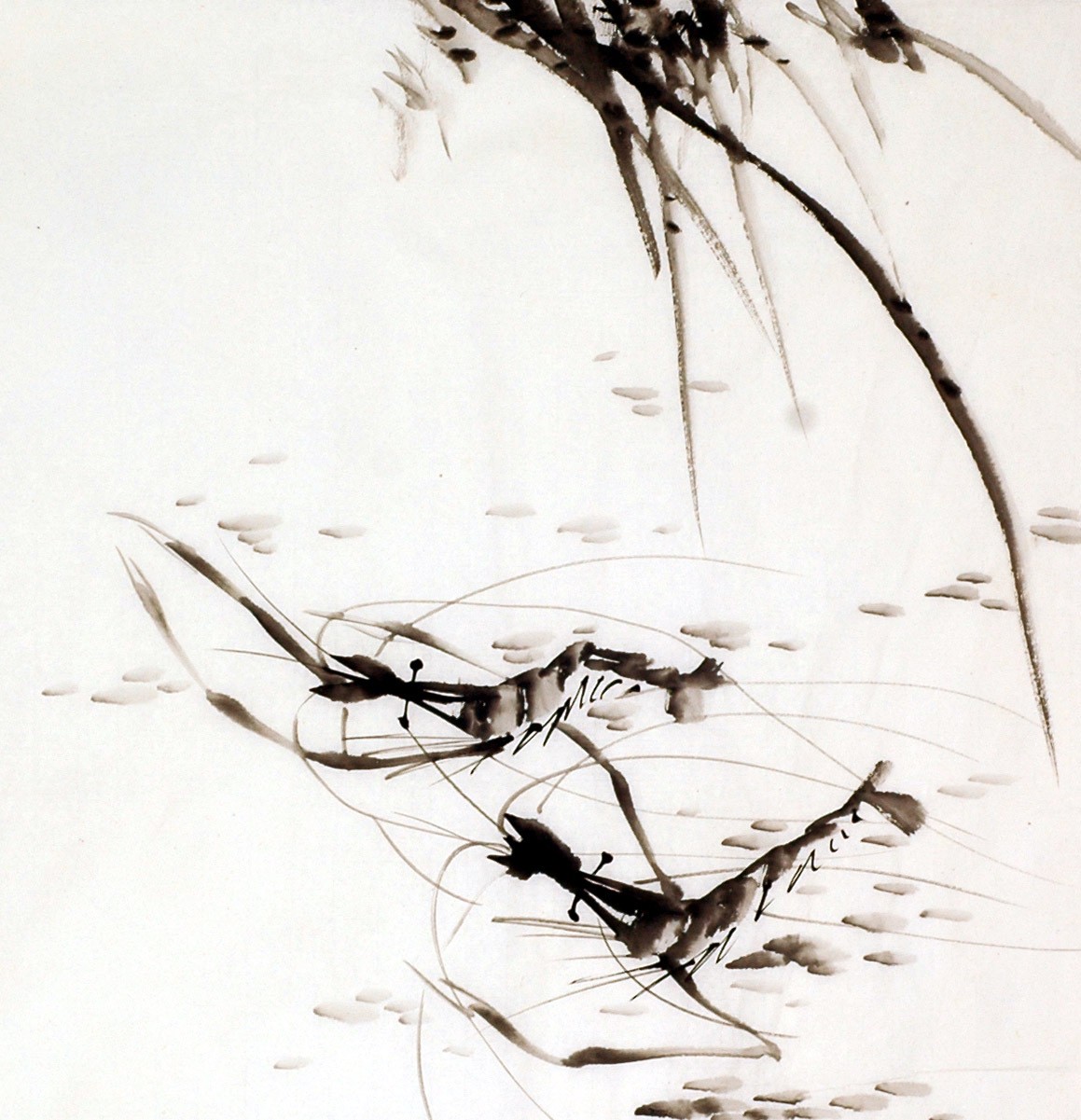 Chinese Shrimp Painting - CNAG009918