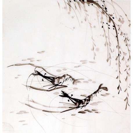 Chinese Shrimp Painting - CNAG009920