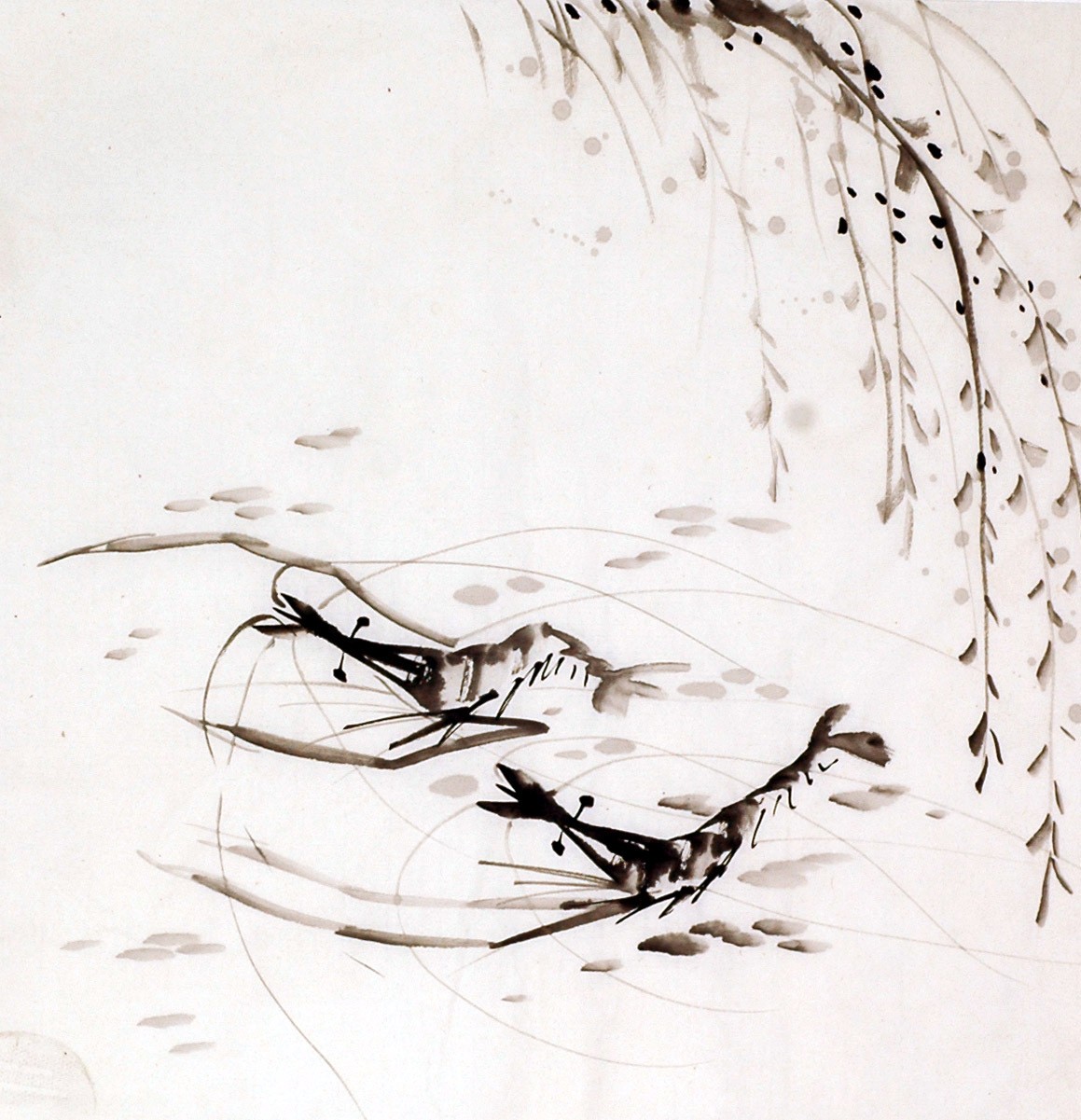 Chinese Shrimp Painting - CNAG009920