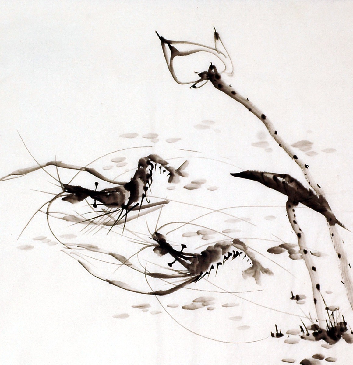 Chinese Shrimp Painting - CNAG009922