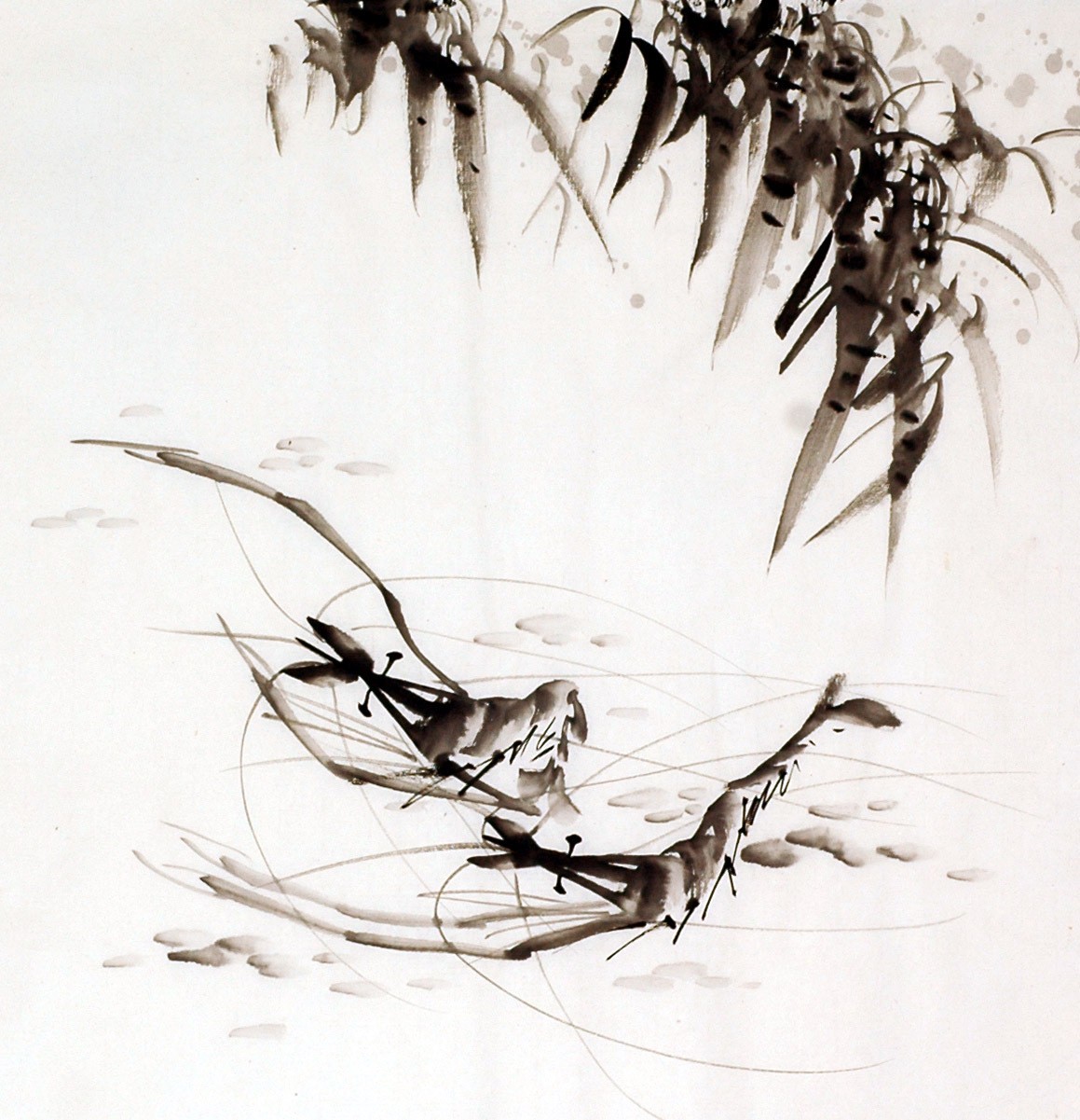 Chinese Shrimp Painting - CNAG009924