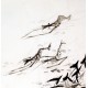 Chinese Shrimp Painting - CNAG009925