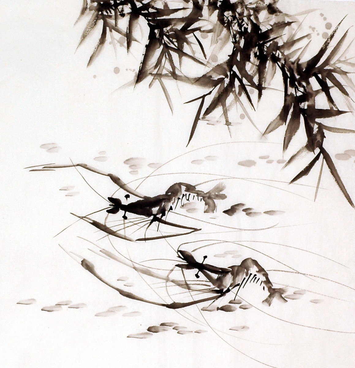 Chinese Shrimp Painting - CNAG009926