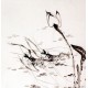 Chinese Shrimp Painting - CNAG009927