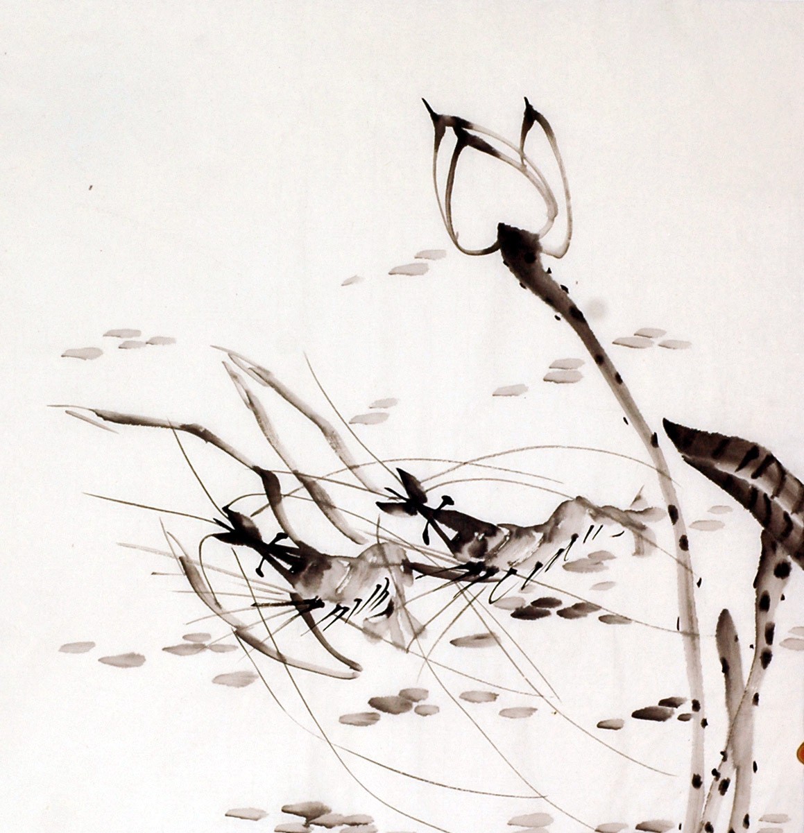 Chinese Shrimp Painting - CNAG009927