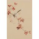 Other Birds - CNAG000987