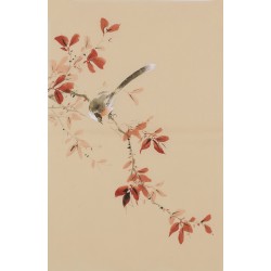 Other Birds - CNAG000987