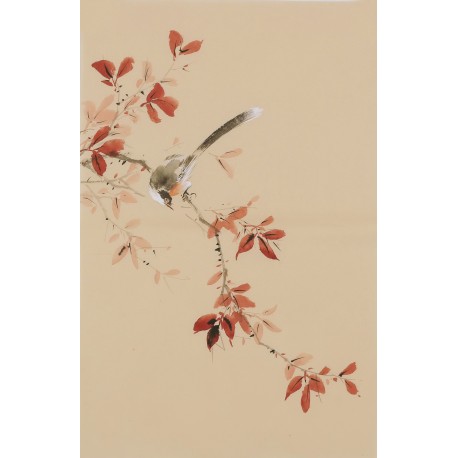 Other Birds - CNAG000987