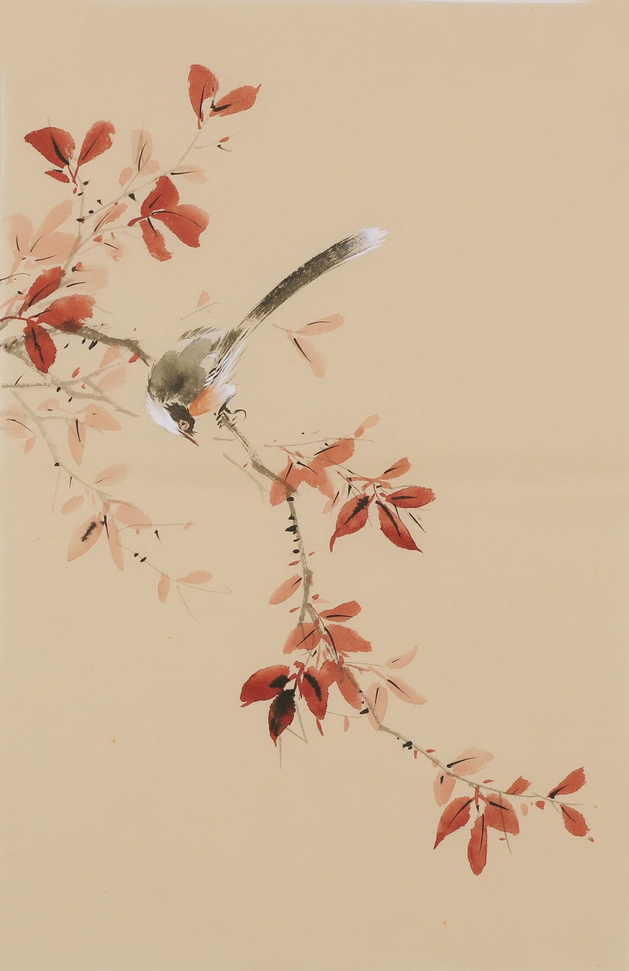 Other Birds - CNAG000987