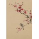 Plum - CNAG000988