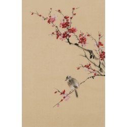 Plum - CNAG000988