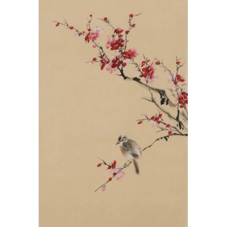 Plum - CNAG000988