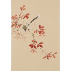 Other Birds - CNAG000989