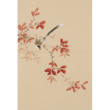 Other Birds - CNAG000989