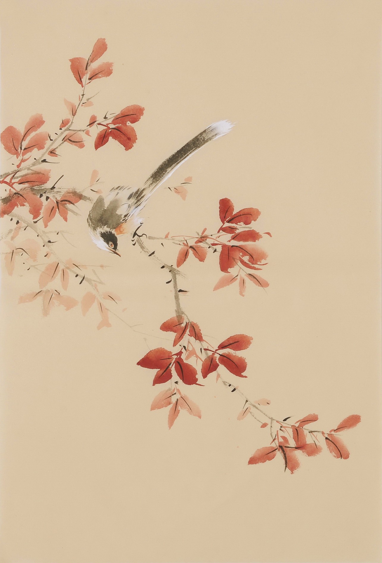 Other Birds - CNAG000989
