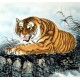 Chinese Tiger Painting - CNAG010001