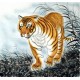 Chinese Tiger Painting - CNAG010002