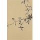 Green Bamboo - CNAG000991